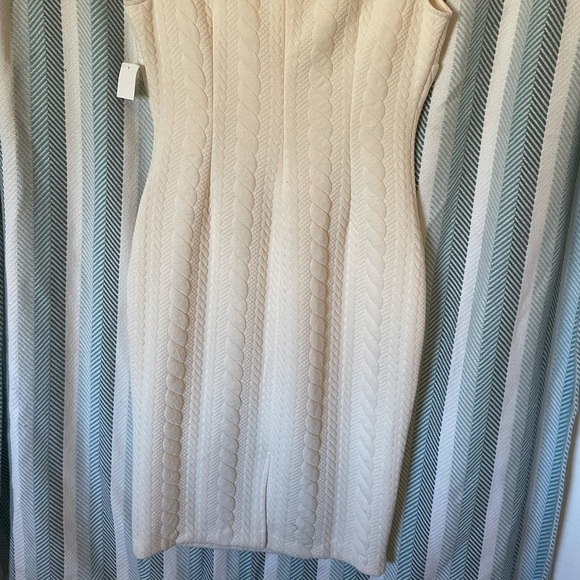 Ivory Bodycon Dress - Picture 5 of 5
